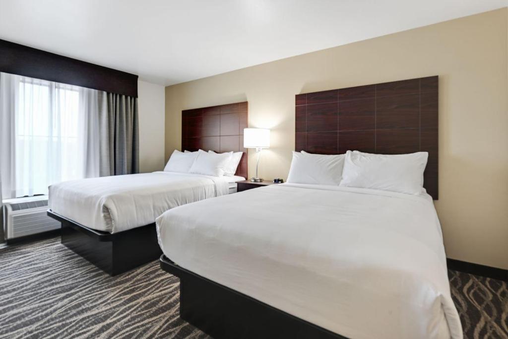 Cobblestone Hotel & Suites - Mosinee Dış mekan fotoğraf