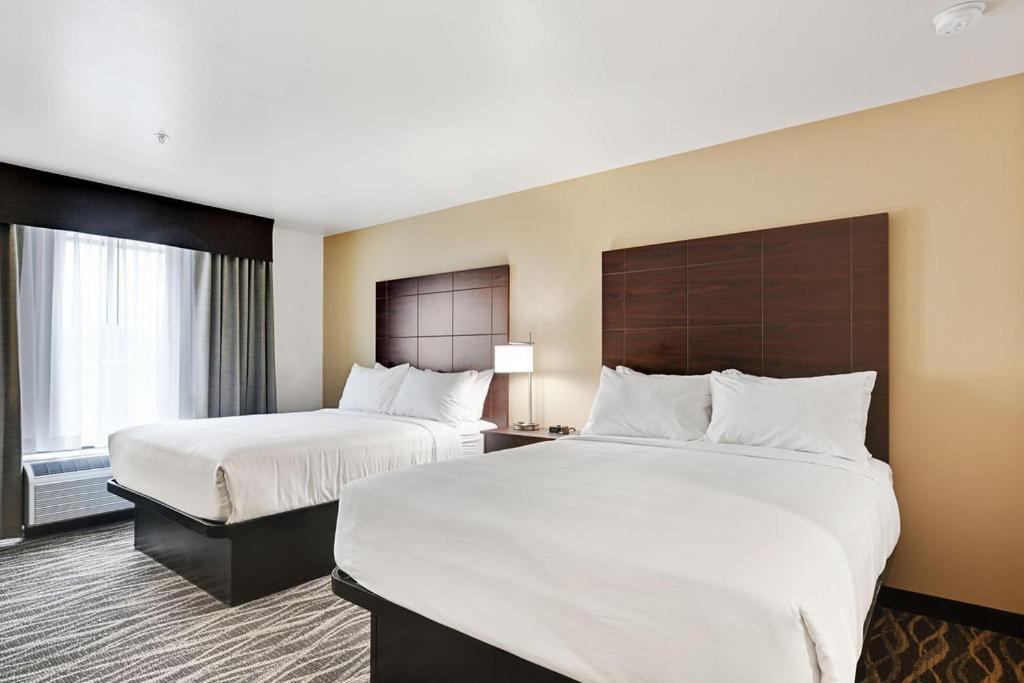Cobblestone Hotel & Suites - Mosinee Dış mekan fotoğraf