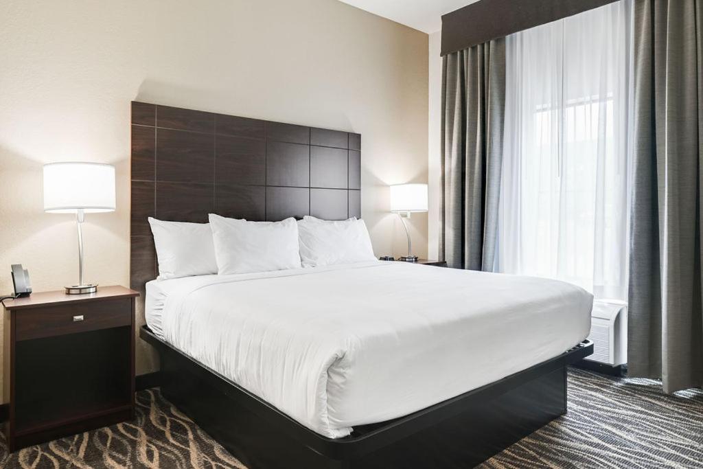 Cobblestone Hotel & Suites - Mosinee Dış mekan fotoğraf